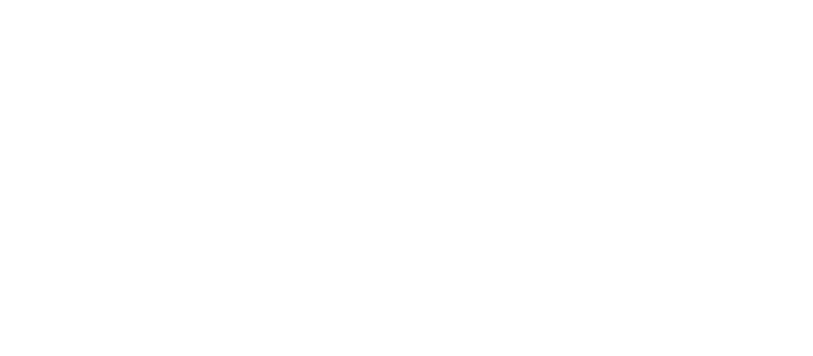 Digital Spot